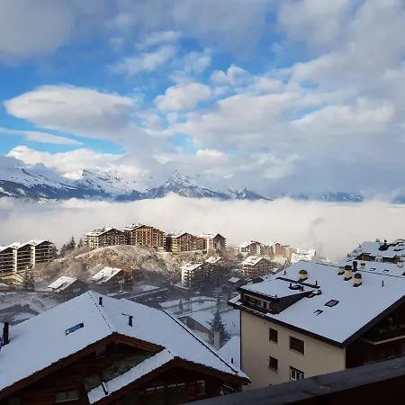 Pracondu 1 403 - Outdoor & Fun Charming *