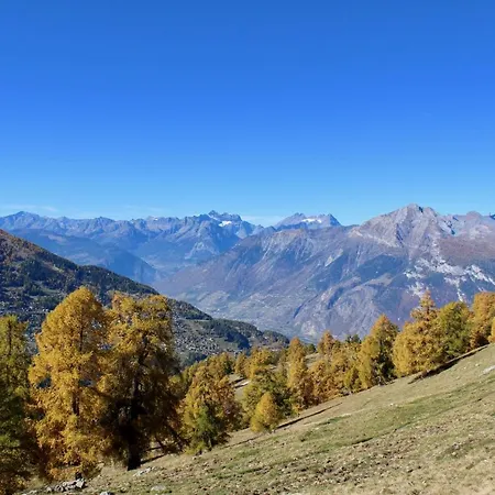 Pracondu 1 403 - Outdoor & Fun Charming *