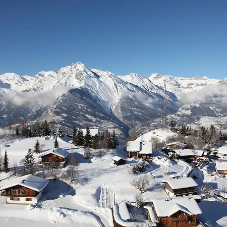 Pracondu 1 403 - Outdoor & Fun Charming *