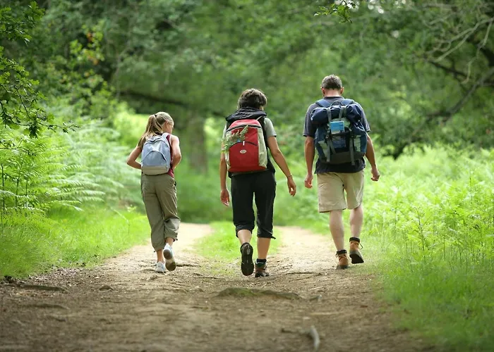 Pracondu 1 403 - Outdoor & Fun Charming Apartamento