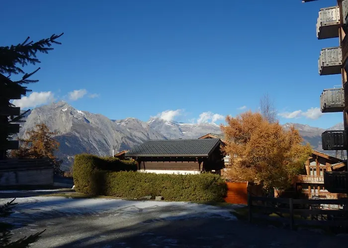 Pracondu 1 403 - Outdoor & Fun Charming *