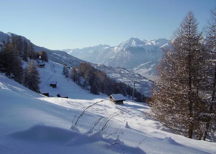 Pracondu 1 403 - Outdoor&fun Charming *