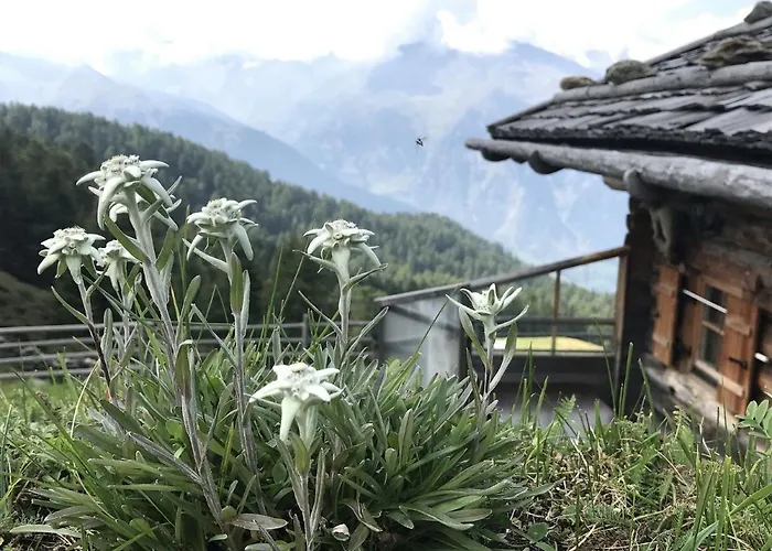 Apartamento Pracondu 1 403 - Outdoor & Fun Charming *