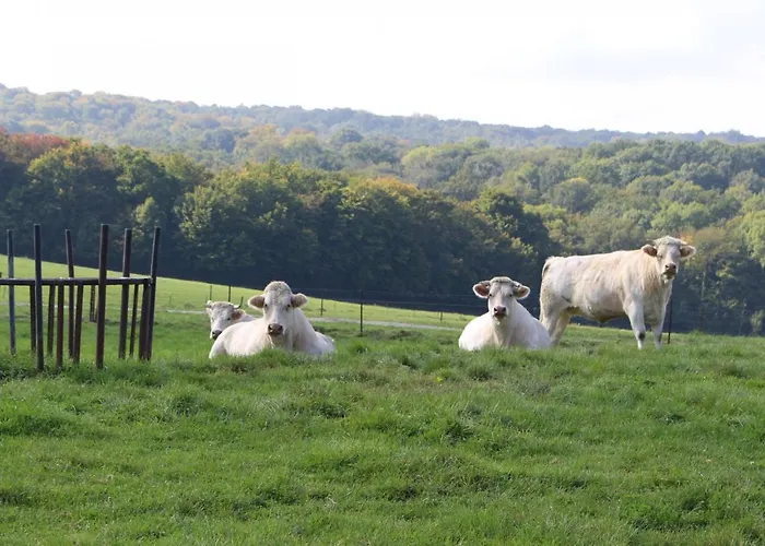 Pracondu 1 403 - Outdoor & Fun Charming *