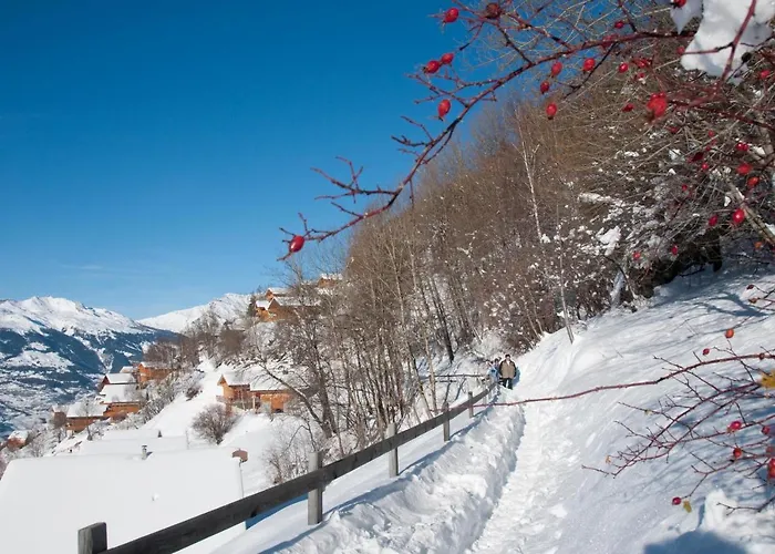 Pracondu 1 403 - Outdoor & Fun Charming *