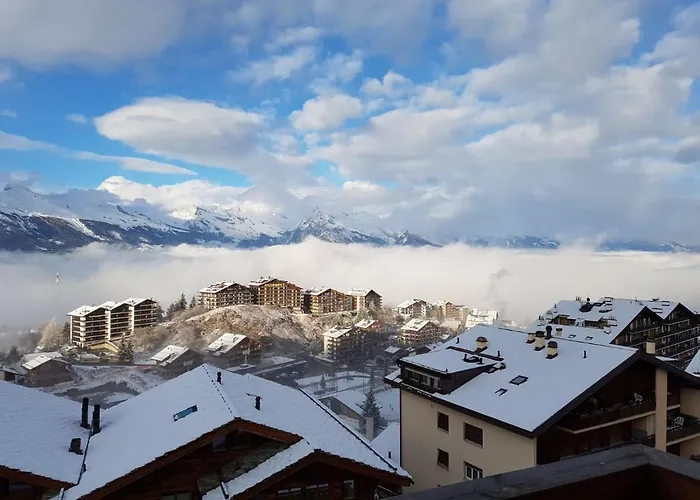 Pracondu 1 403 - Outdoor & Fun Charming *