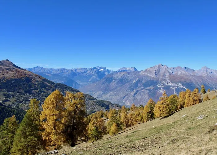 Pracondu 1 403 - Outdoor&fun Charming *