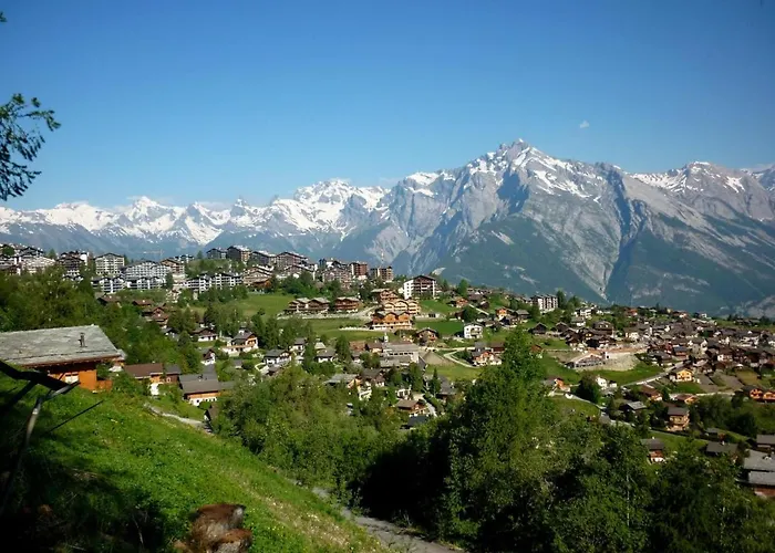 Pracondu 1 403 - Outdoor & Fun Charming * Nendaz