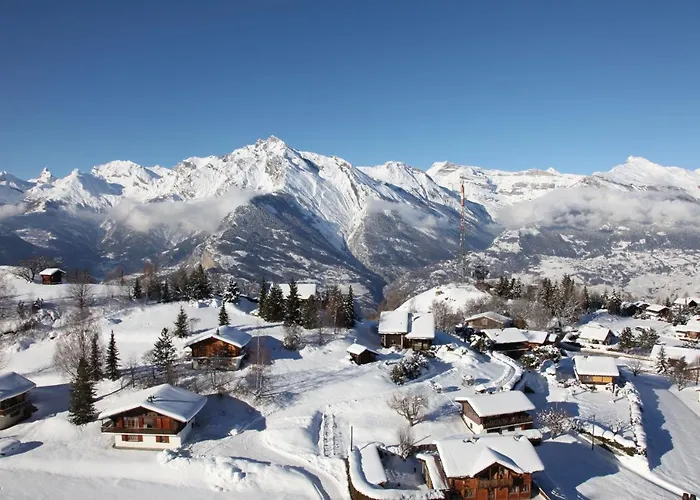 Pracondu 1 403 - Outdoor & Fun Charming *