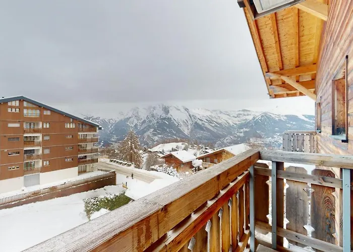 Pracondu 1 403 - Outdoor & Fun Charming