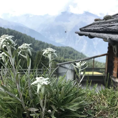 Daire Pracondu 1 403 - Outdoor & Fun Charming *