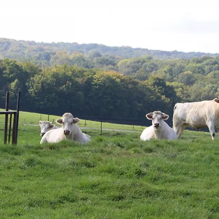 Pracondu 1 403 - Outdoor & Fun Charming *