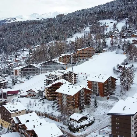 Pracondu 1 403 - Outdoor & Fun Charming Daire Nendaz